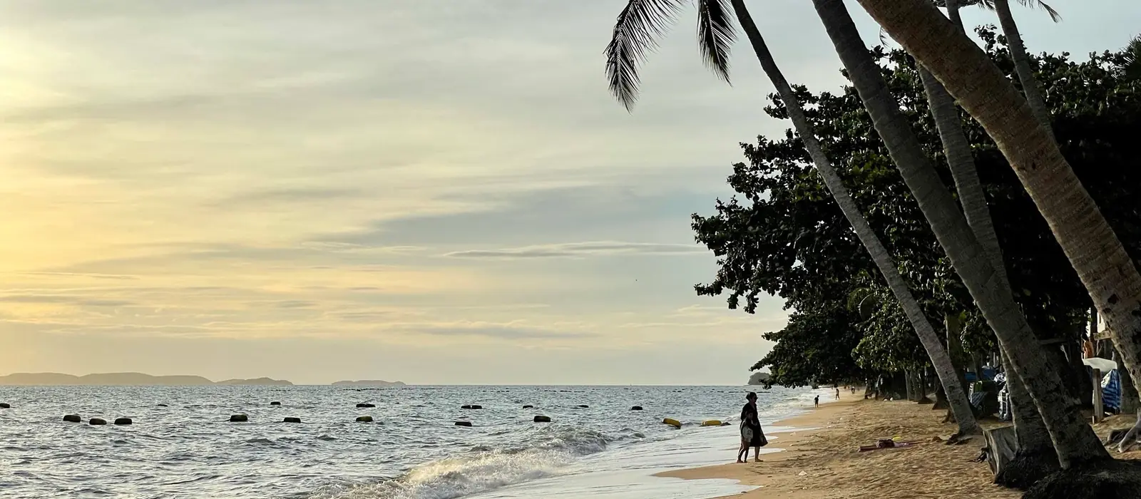 Sandy Jomtien Beach with palm trees leaning over the sea at dusk.